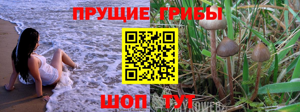 Галлюциногенные грибы Cubensis  Вход с VPN  Среднеуральск 