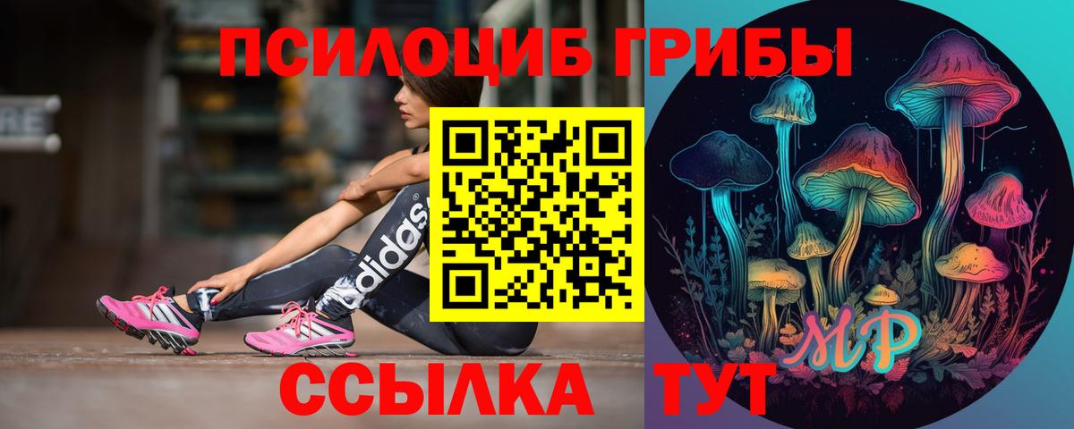 Псилоцибиновые грибы мицелий Среднеуральск